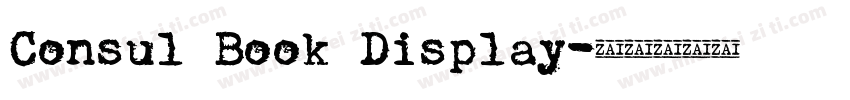 Consul Book Display字体转换